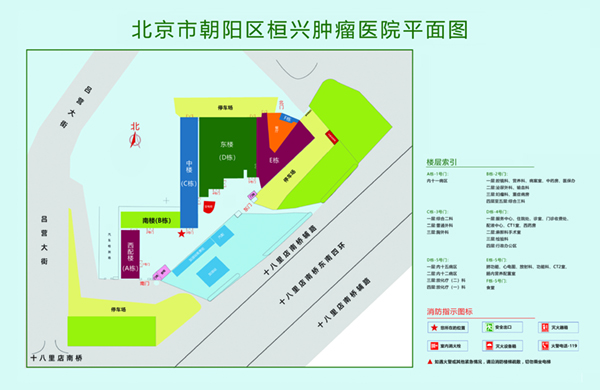 用力肏用力射逼逼视频北京市朝阳区桓兴肿瘤医院平面图